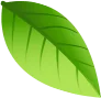 leaf-img